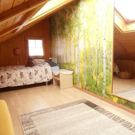 Appartement Ferienwohnung Edelweiss Meiringen